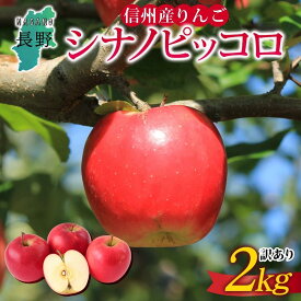 【ふるさと納税】＜26年発送 先行予約＞長野県産 りんご シナノピッコロ 訳あり 約2kg リンゴ 旬 フルーツ 訳アリ 林檎 果物 規格外 自家用 産地直送 農園 産直 お取り寄せ もぎたて 採れたて 送料無料 堀田農園 信州 大町市