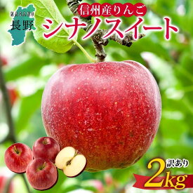 【ふるさと納税】＜26年発送 先行予約＞長野県産 りんご シナノスイート 訳あり 約2kg リンゴ 旬 フルーツ 訳アリ 林檎 果物 規格外 自家用 産地直送 農園 産直 お取り寄せ もぎたて 採れたて 送料無料 堀田農園 信州 大町市
