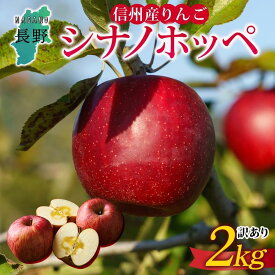 【ふるさと納税】＜26年発送 先行予約＞長野県産 りんご シナノホッペ 訳あり 約2kg リンゴ 旬 フルーツ 訳アリ 林檎 果物 規格外 自家用 産地直送 農園 産直 お取り寄せ もぎたて 採れたて 送料無料 堀田農園 信州 大町市