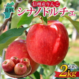 【ふるさと納税】＜26年発送 先行予約＞長野県産 りんご シナノドルチェ 訳あり 約2kg リンゴ 旬 フルーツ 訳アリ 林檎 果物 規格外 自家用 産地直送 農園 産直 お取り寄せ もぎたて 採れたて 送料無料 堀田農園 信州 大町市