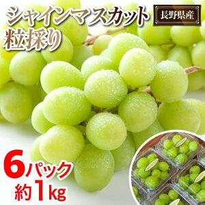yӂ邳Ɣ[Łz2025 P VC}XJbg ̂6pbN @1kg@y10{`\ z쌧Y@ۓL@엿͔| | t[c ʕ  Hi lC  
