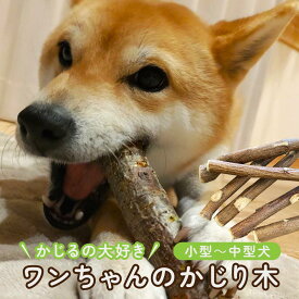 【ふるさと納税】かじるの大好き　ワンちゃんのかじり木（小型～中型犬） | ペット 天然木 噛む おもちゃ クラフト 手作り 人気 おすすめ 犬 木製 ストレス解消 デンタルケア ギフト 就労支援B型 福祉 福祉施設応援 送料無料 長野県 大町市 ふるさと納税