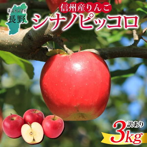 yӂ邳Ɣ[Łz26N s\񁄒쌧Y  VimsbR 󂠂 3kg S { t[c A ь ʕ KiO Ɨp Yn _ Y   ̂ꂽ 