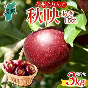 yӂ邳Ɣ[Łz26N s\񁄒쌧Y  Hf 󂠂 3kg S { t[c A ь ʕ KiO Ɨp Yn _ Y   ̂ꂽ  