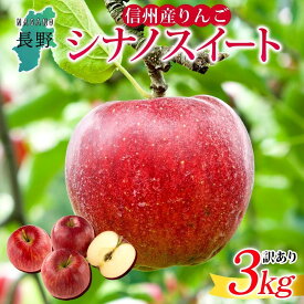 【ふるさと納税】＜26年発送 先行予約＞長野県産 りんご シナノスイート 訳あり 約3kg リンゴ 旬 フルーツ 訳アリ 林檎 果物 規格外 自家用 産地直送 農園 産直 お取り寄せ もぎたて 採れたて 送料無料 堀田農園 信州 大町市