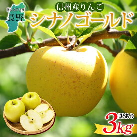 【ふるさと納税】＜26年発送 先行予約＞長野県産 りんご シナノゴールド 訳あり 約3kg リンゴ 旬 フルーツ 訳アリ 林檎 果物 規格外 自家用 産地直送 農園 産直 お取り寄せ もぎたて 採れたて 送料無料 堀田農園 信州 大町市