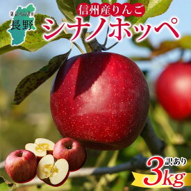 【ふるさと納税】＜26年発送 先行予約＞長野県産 りんご シナノホッペ 訳あり 約3kg リンゴ 旬 フルーツ 訳アリ 林檎 果物 規格外 自家用 産地直送 農園 産直 お取り寄せ もぎたて 採れたて 送料無料 堀田農園 信州 大町市