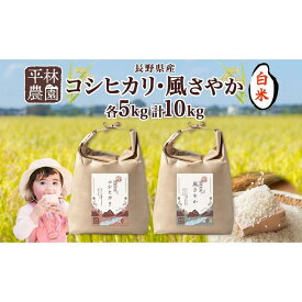 【ふるさと納税】＜先行予約＞令和7年産 コシヒカリ 風さやか 白米 各5kg 長野県産 米 精米 お米 ごはん ライス 甘み 農家直送 産直 信州 人気 ギフト お取り寄せ 平林農園 送料無料 長野県 大町市 | お米 こめ 白米 食品