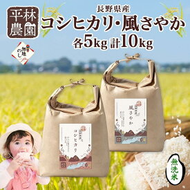 【ふるさと納税】＜先行予約＞無地熨斗 令和7年産 コシヒカリ 風さやか 無洗米 各5kg 長野県産 米 白米 精米 お米 ごはん 甘み 産直 信州 人気 ギフト 時短 平林農園 熨斗 のし 名入れ不可 送料無料 長野県 大町市 | お米 こめ 白米 食品