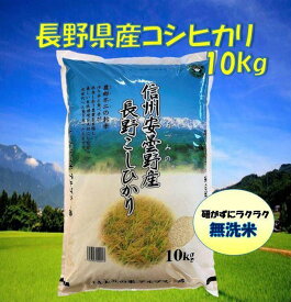 【ふるさと納税】米 無洗米 コシヒカリ 長野県産 10kg | お米 こめ 白米 食品 人気 おすすめ 送料無料