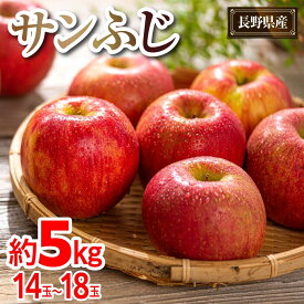 【ふるさと納税】【2025年内即日発送】【12月25日ご入金確認分まで】 2025 サンふじ 約5キロ 長野県産　国際特許有機肥料栽培 | ｜果物 サンふじ りんご 長野県産 人気 おすすめ フルーツ スイーツ 朝食 美容 健康 送料無料 長野県 大町市 ふるさと納税