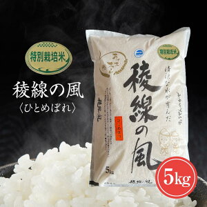 yӂ邳Ɣ[Łzʍ͔| Ő̕iЂƂ߂ڂj 5kg | 쌧咬s  쌧 咬 咬s MB ӂ邳 [ yVӂ邳Ɣ[ x xi ԗi ̕i ԗ Yi Y  