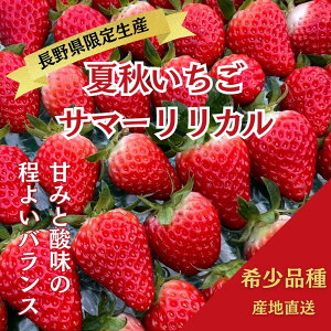 yӂ邳Ɣ[ŁzyЂt@[@zďH@T}[Ji쌧萶Yj1i30`36j×2@ C`S Xgx[ ʕ t[c 7 8 kAvX  M