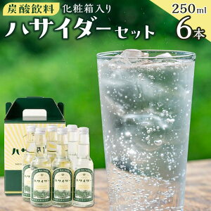 yӂ邳Ɣ[ŁzY_ TC_[ Zbg 6{ × 250ml nTC_[  |  \tghN lC  @
