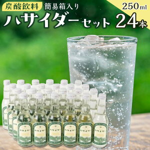 yӂ邳Ɣ[ŁzY_ TC_[ Zbg 24{ × 250ml nTC_[ |  \tghN lC  