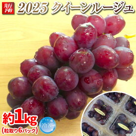 【ふるさと納税】2025　P　クイーンルージュ®　冷凍粒採り6パック 　約1キロ　長野県産【10月中旬頃～順次発送予定】国際特許有機肥料栽培 | フルーツ ぶどう ブドウ 食べきりサイズ 人気 おすすめ 葡萄 ギフト 送料無料 長野県 大町市