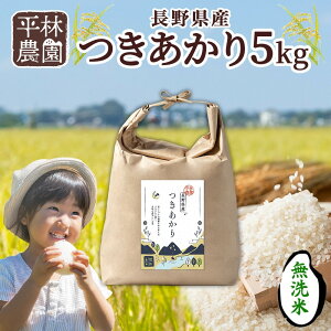 yӂ邳Ɣ[Łzy2025N11`zߘa7NY   5kg×1 쌧Y    ͂ CX Â _ƒ Y MB lC Mtg  є_  