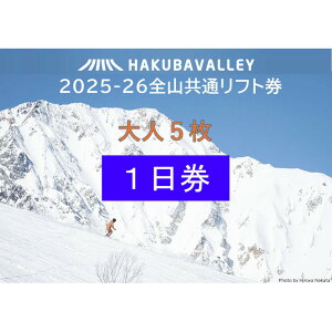 yӂ邳Ɣ[ŁzyI\z2025-2026 Hakuba Valley SR1tg l1`5 |   lC  