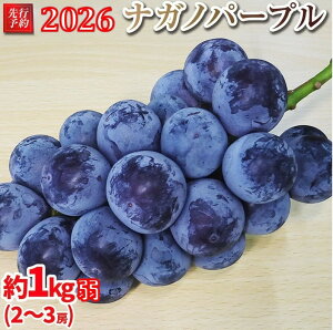 yӂ邳Ɣ[Łzys\z2026@iKmp[v@2[`3[@1L@쌧Y y2026N9{`\zۓL@엿͔| | ʕ Ԃǂ t[c uhE iKmp[v