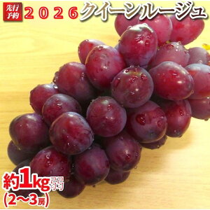 yӂ邳Ɣ[Łzys\z2026 NC[[WR@2[`3[@1L@y9{`10{\z@쌧Y@ۓL@엿͔| | ʕ Ԃǂ t[c NC[