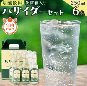 yӂ邳Ɣ[ŁzyNzy1221mF܂ŁzY_ TC_[ Zbg 6{ × 250ml nTC_[  |  Y_ TC_[ nTC_[ nTC_[ lC  