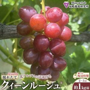 �y�ӂ邳�Ɣ[�Łz�y��s�\��z2026 �N�C�[�����[�W��R�@2�[�`3�[�@��1�L����y�I�ׂ�z�������z���쌧�Y�@���ۓ����L�@�엿�͔| | �ʕ� �Ԃǂ� �t���[�c �N�C�[�����[�W�� �u�h�E �����x ��