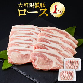 【ふるさと納税】大町銀嶺豚 ロース1kg (約100g×5枚・2パック) | 肉 お肉 にく 豚肉 銀嶺豚 ロース 国産ブランド豚 大町産 人気 おすすめ 精肉 高級肉 焼肉 送料無料 長野県 大町市 ふるさと納税