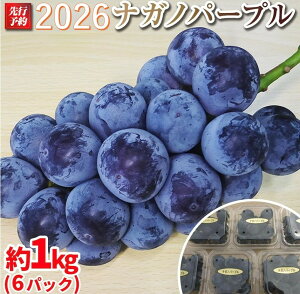 �y�ӂ邳�Ɣ[�Łz�y��s�\��zA 2026 P �i�K�m�p�[�v�����ǂ�6�p�b�N ��1kg�� (2026�N9�����{���`���������\��j���쌧�Y ���ۓ����L�@�엿�͔| | �t���[�c �ʕ� �������� �H�i �l�C �������� ��