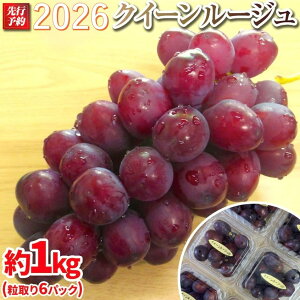 �y�ӂ邳�Ɣ[�Łz�y��s�\��z A 2026 P �N�C�[�����[�W��R���ǂ�6�p�b�N ��1kg�� (2026�N10�����{���`���������\��j���쌧�Y ���ۓ����L�@�엿�͔| | �t���[�c �ʕ� �������� �H�i �l�C ������