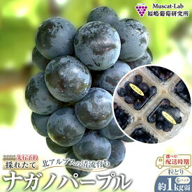 【ふるさと納税】【先行予約】A 2026 P ナガノパープル粒どり6パック 約1kg弱 【選べる配送時期】長野県産 　国際特許有機肥料栽培 | フルーツ 果物 くだもの 食品 人気 おすすめ ぶどう ブドウ 食べきりサイズ 人気 送料無料 長野県 大町市