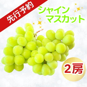 yӂ邳Ɣ[Łzq2025Ns\rVC}XJbg 2[ (7-A21)o׊JnF2025N9{`{y t[c  Ԃǂ 쌧 юRs Mtg v[g LO a ̓ 