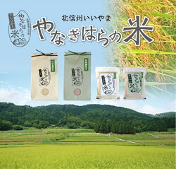 【ふるさと納税】特別栽培米「風さやか」2kg×2袋【白米長野県飯山市】