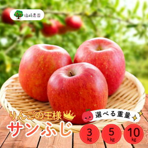 【ふるさと納税】【先行予約】サンふじ 信州 りんご選べる3kg 5kg 10kg <出荷時期:2025年12月上旬ごろ〜>(2025年産) (7-A41-1-2-3)【 りんご フルーツ 長野県 飯山市 甘味 酸味 リンゴ 林檎 くだ