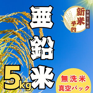 yӂ邳Ɣ[Łzyӂ邳Ɣ[Łzys\zߘa7NY āiRVqJj  5kg ^pbN o׊JnF2025N11{`(7-50)y  RVqJ Ђ 쌧 юRs 