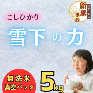 yӂ邳Ɣ[Łzys\z9̎ttz ߘa7NY ቺ̗́iRVqJj  5kg ^pbN o׊JnF2025N11{`(7-51)y  RVqJ Ђ 