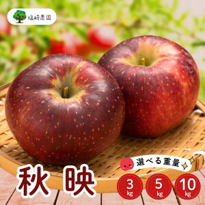 yӂ邳Ɣ[Łz2025Ns\񁄐MB  Hfi΂jIׂ3kg 5kg 10kgo׊JnF2025/10{`{(7-A23-1-2-3)y t[c  쌧 юRs Mtg v[g LO 