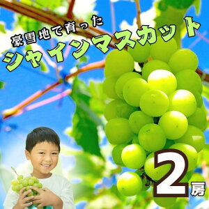 yӂ邳Ɣ[Łzys\z[ߘa7NY] VC}XJbg2[i1kgȏj(7-A32)o׊JnF2025N9{`y 쌧юRs MBY t[c Ԃǂ VC }XJbg Ȃ 炲