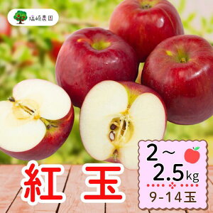 yӂ邳Ɣ[Łzs\ gʁy2`2.5kg (9`14)z(7-A22)o׊JnF2025/10{`{y 傭 ь  S ʕ  t[c  쌧 юRs Mtg v