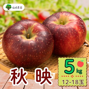 yӂ邳Ɣ[Łzs\񁄏Hfi΂jy5kg (12`18)zo׊JnF2025/10{`{(7-A23-2)y t[c  쌧 юRs Mtg v[g LO a ̓ 