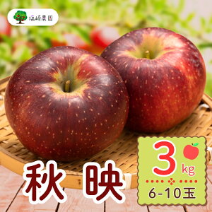 yӂ邳Ɣ[Łzs\񁄏Hfi΂jy3kg (6`10)zo׊JnF2025/10{`{(7-A23-1) y ʕ  t[c ь S   쌧 юRs Mtg v