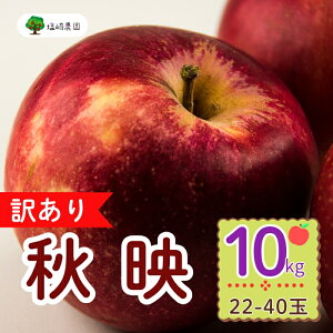 yӂ邳Ɣ[Łzs\񁄁y󂠂zKiO Hf(΂)y10kg (24`36)z o׊JnF2025N10{`{(7-A26-3) y ь  S ʕ  t[c  
