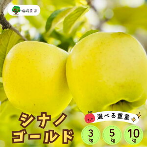 yӂ邳Ɣ[Łz2025Ns\񁄃VimS[h Iׂ3kg 5kg 10kgo׊JnF2025N10{`11{(7-A25-1-2-3)y  t[c 쌧 юRs Mtg v[g ̓ ̓ 