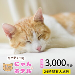 yӂ邳Ɣ[Łzy쌧юRszɂقĂiLpybgzej xeBx p3,000~ ybgze ˂ lR ɂ XL[ s u[h c S K iT-17j
