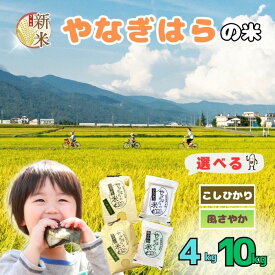 【ふるさと納税】【先行予約】新米 令和7年産 特別栽培米 コシヒカリ 風さやか 選べる 品種 白米 4kg 10kg ＜出荷開始：2025年10月中旬～＞ やなぎはらのお米シリーズ【 飯山市 信州 美味しい お米 白米 新米 精米 ごはん こしひかり 風さやか 真空パック】
