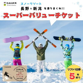 【ふるさと納税】共通リフトクーポン券「 信越自然郷スーパーバリューチケット 2025-2026 」（T-18）【 アウトドア キャンプ スキー スキー場 ボード アルペン リフト券 アクティビティ オススメ 長野県 飯山市 スノーリゾート】