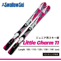 楽天市場】120cm（スキー板｜スキー用品）：ウィンタースポーツ 