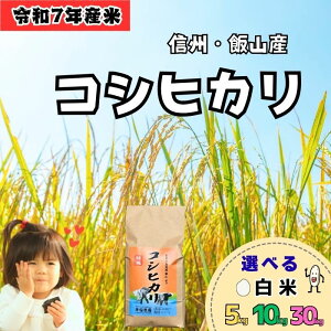 yӂ邳Ɣ[Łz[ߘa7NY V] h_ MB юRY RVqJ Iׂe  5kg 10kg 30kg (7-27A-28A-29A)y 쌧 юRs MB    V  Zbg ͂  p 