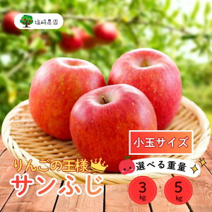 【ふるさと納税】【先行予約】サンふじ 小玉 信州 りんご選べる3kg 5kg <出荷時期:2025年12月中旬ごろ〜>(2025年産) (7-A42-1-2)【 りんご フルーツ 長野県 飯山市 甘味 酸味 リンゴ 林檎 くだ