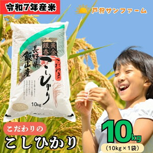 yӂ邳Ɣ[Łzyߘa7NYzV ˎTt@[ Ђ ʌ 10kg (10kg×1) o׊JnF2025N11{` y 쌧 юRs MB     ͂  R