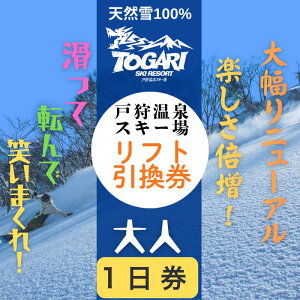 yӂ邳Ɣ[Łzˎ뉷XL[ 1tg 1iT-20jy AEghA Lv XL[ XL[ {[h Ay tg ANeBreB IXX 쌧 юRs Xm[][